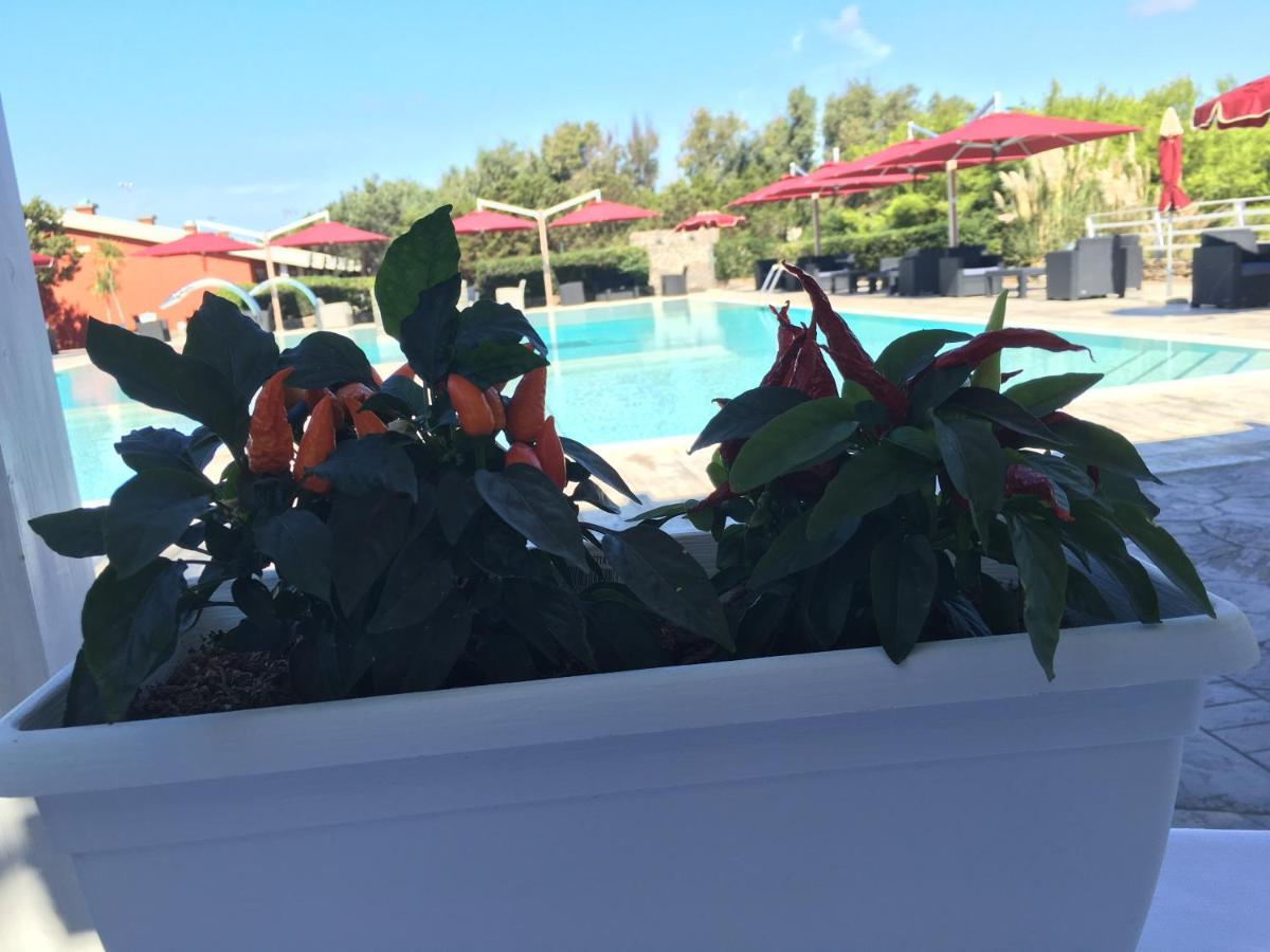 埃塞俱乐部运动酒店 斯廷蒂诺 外观 照片